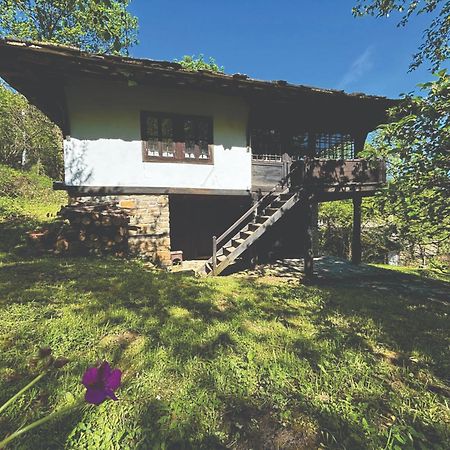 Guest House Cana Mihova Bozhentsi Εξωτερικό φωτογραφία